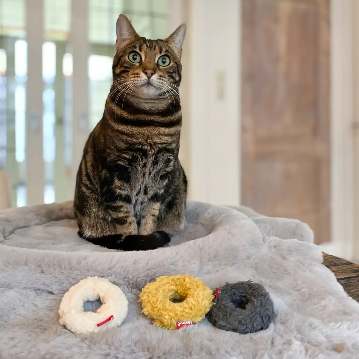 Mini Donuts Katzenspielzeug, 3er-Set