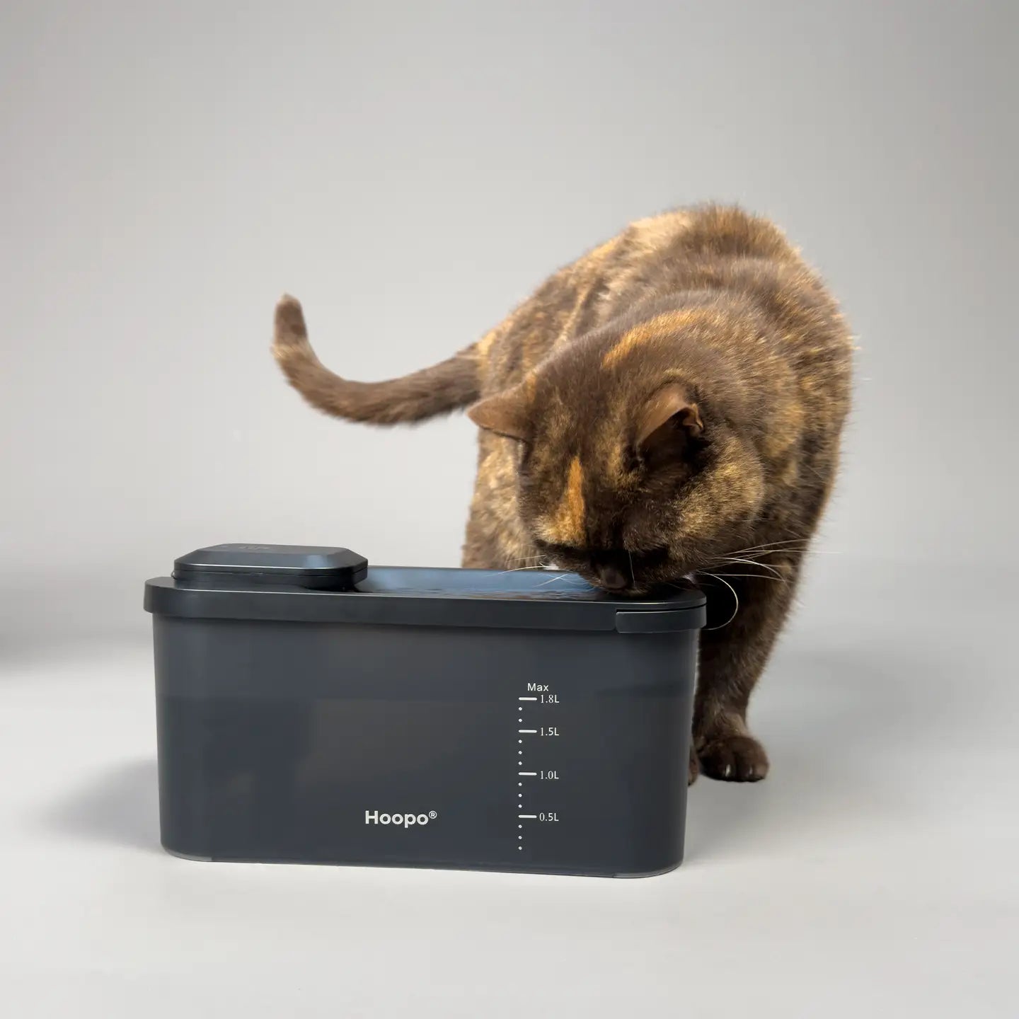 Katzen Trinkbrunnen mit automatischer Wasserzirkulation