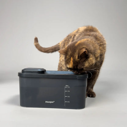 Katzen Trinkbrunnen mit automatischer Wasserzirkulation