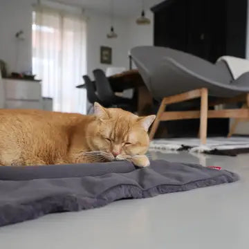 Flip Katzenbett mit wendbarer Oberfläche