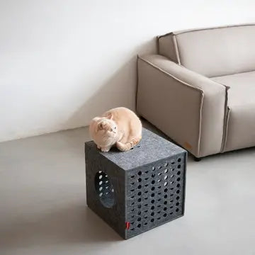 Spielwürfel und Versteck für Katzen