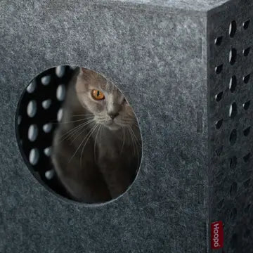 Spielwürfel und Versteck für Katzen
