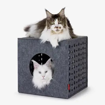 Spielwürfel und Versteck für Katzen