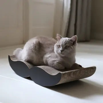 Moustache Kratzmöbel aus recyceltem Karton