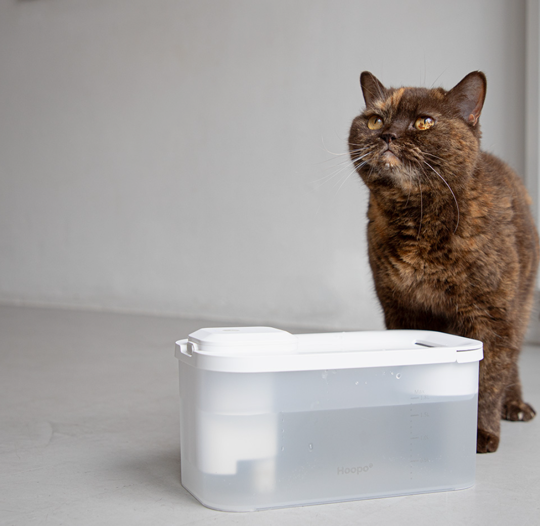 Katzen Trinkbrunnen mit automatischer Wasserzirkulation