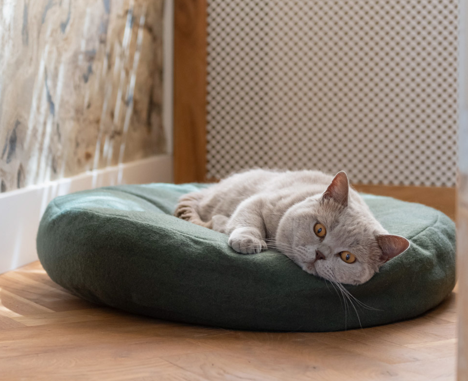 Donut Katzenbett