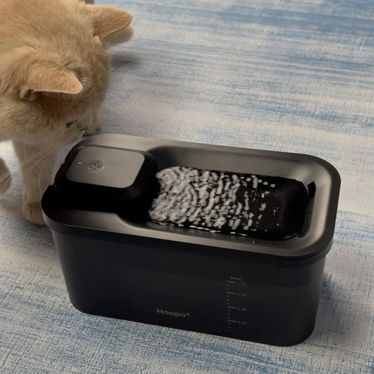 Katzen Trinkbrunnen mit automatischer Wasserzirkulation